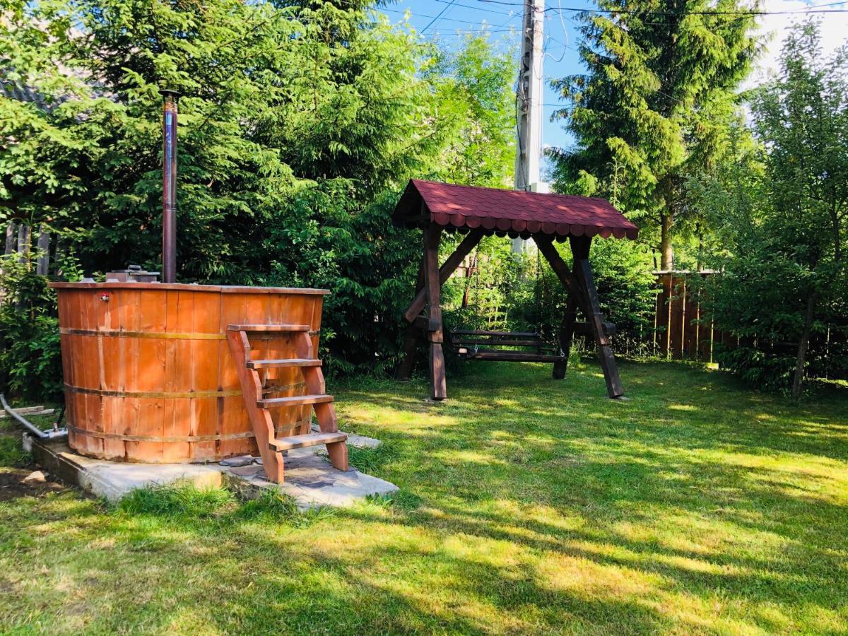 Pensiunea Ioana Borşa Exterior foto