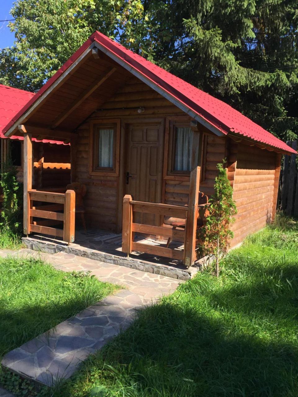 Pensiunea Ioana Borşa Exterior foto